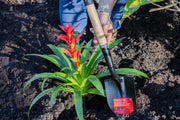 Photo of CRAFTSMAN garden shovel, SKU CMXMLTP35331, with wood handle, used for planting next to a plant with red flowers.